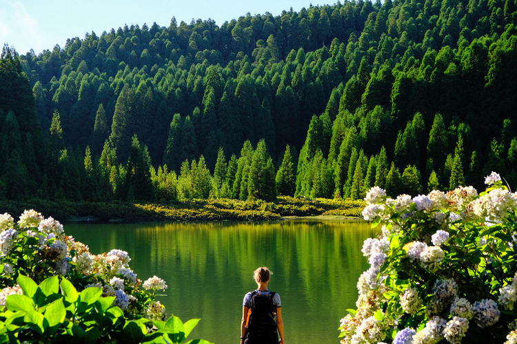 Rear view of woman standing against lake in forest