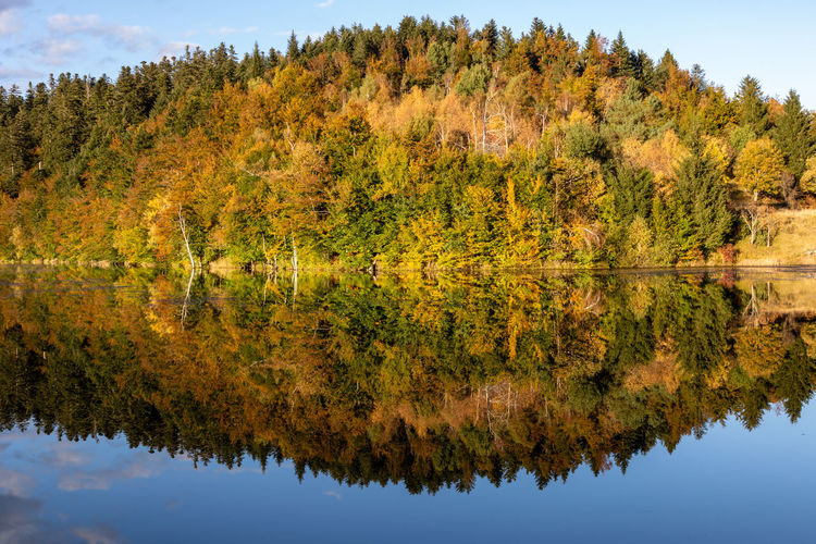 Scenic view of lake by trees against sky