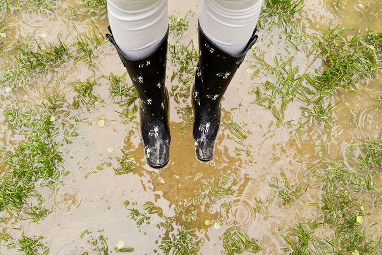 Low section of woman standing on puddle