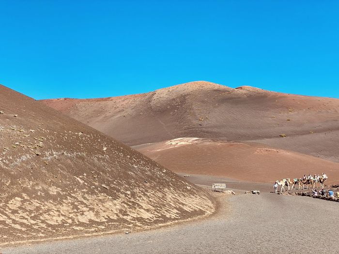 Scenic view of desert against clear sky