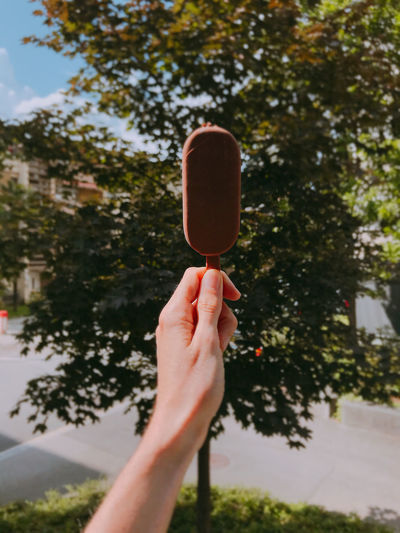 Cropped hand holding ice cream against tree