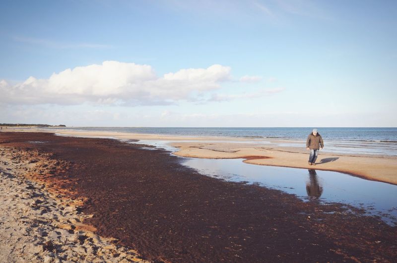 Scenic view of man walking on beach