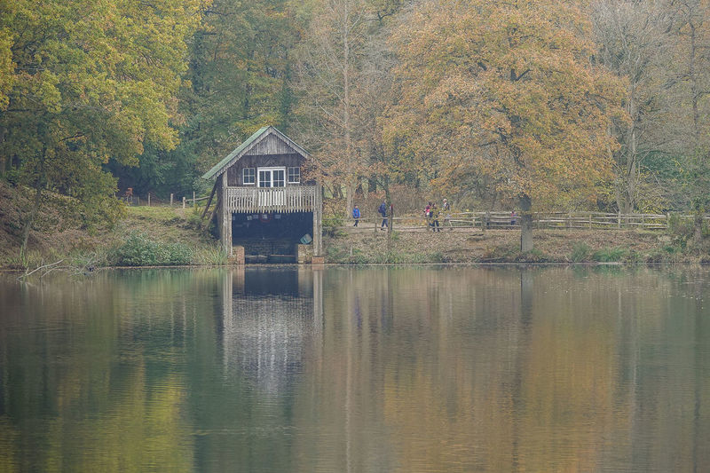 House by lake in forest during autumn