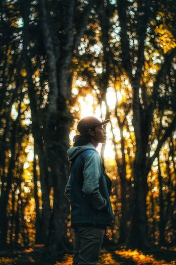 Man standing amidst trees in forest