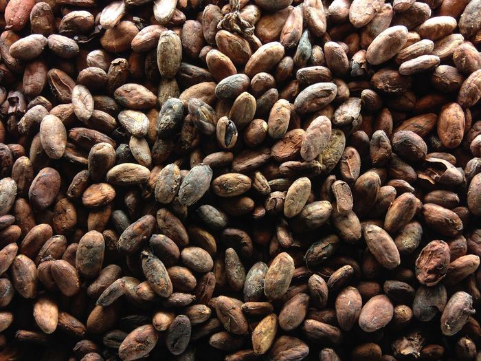 Full frame shot of cocoa beans