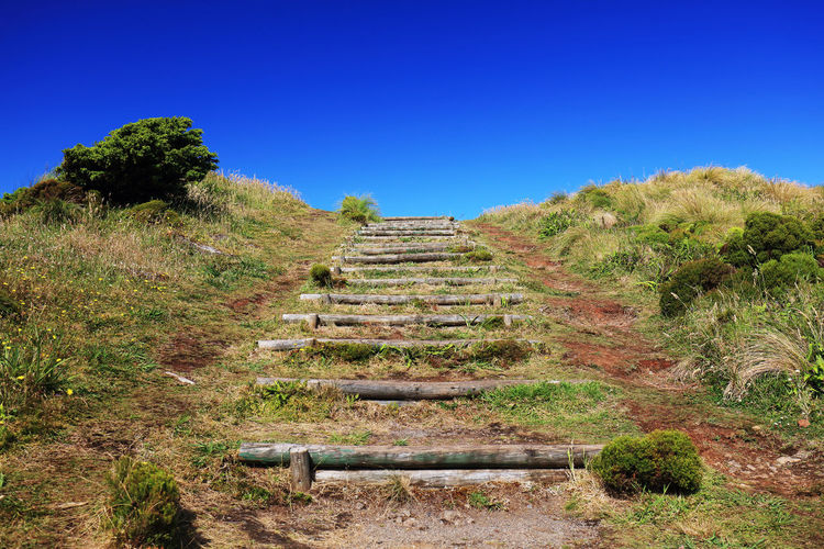 Steps amidst grassy field against clear blue sky
