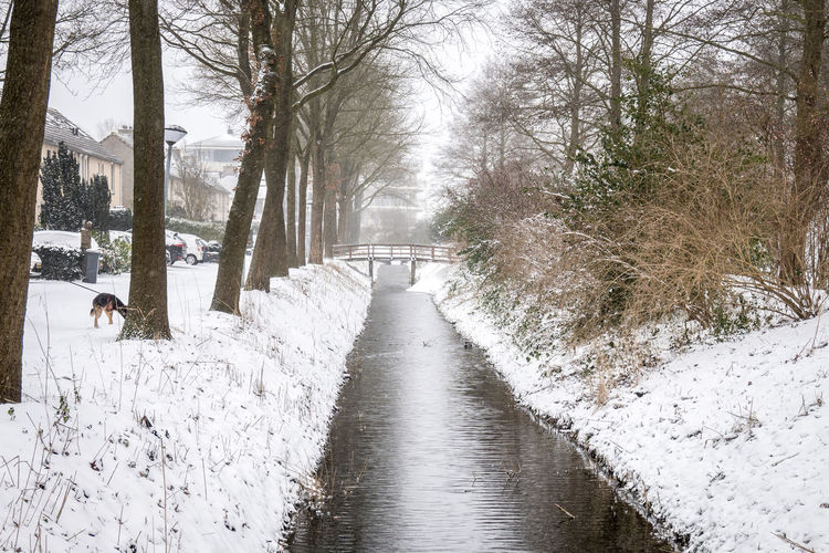 Snow covered canal amidst trees during winter