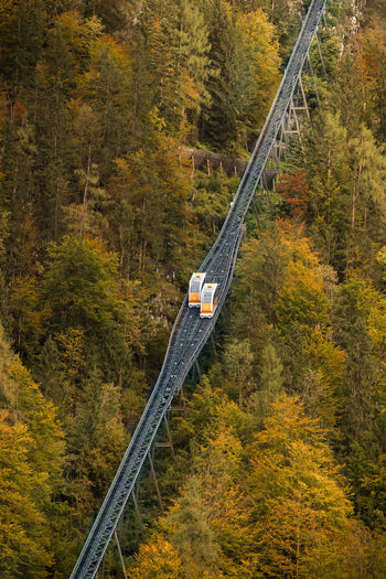 Aerial view of railway bridge with going over green coniferous forest in mountain slop in sunny day in austria