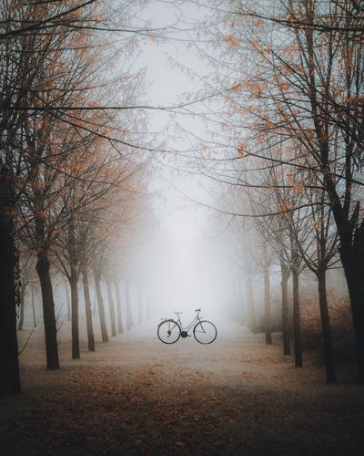 Bicycle amidst bare trees on field during autumn