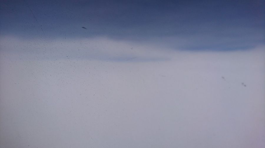 Close-up of bird flying against sky