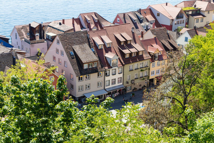 High angle view of trees and buildings in city