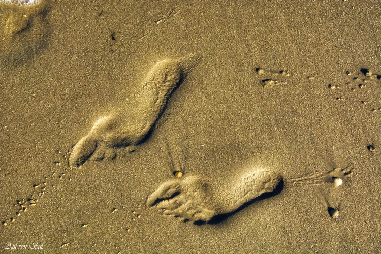 High angle view of footprints at sandy beach