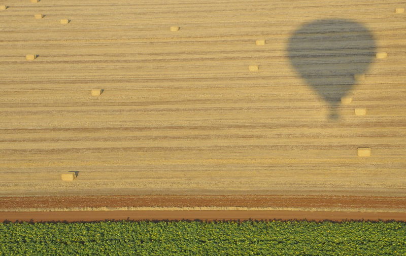 High angle view of hot air balloon shadow on agricultural field