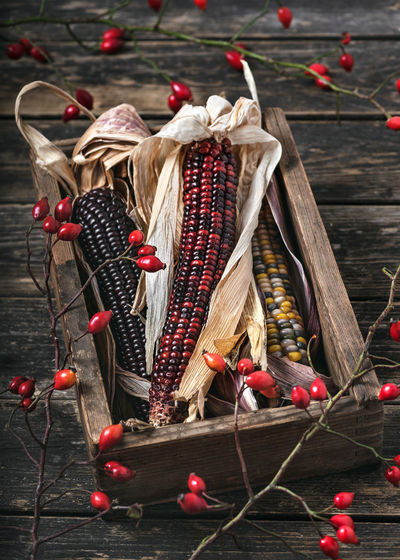 Close-up of fruits hanging in basket