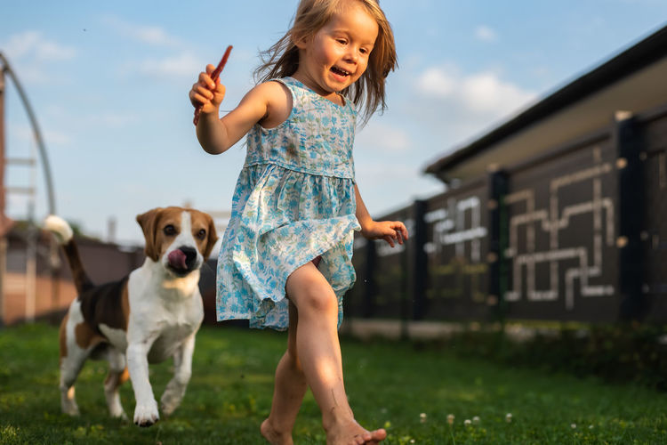 Baby girl running with beagle dog in backyard on summer day. domestic animal with children concept.