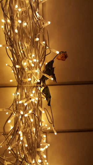 Close-up of illuminated lamp