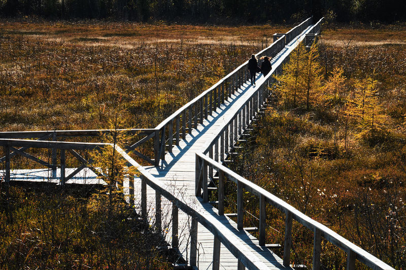 High angle view of stairs in autumn