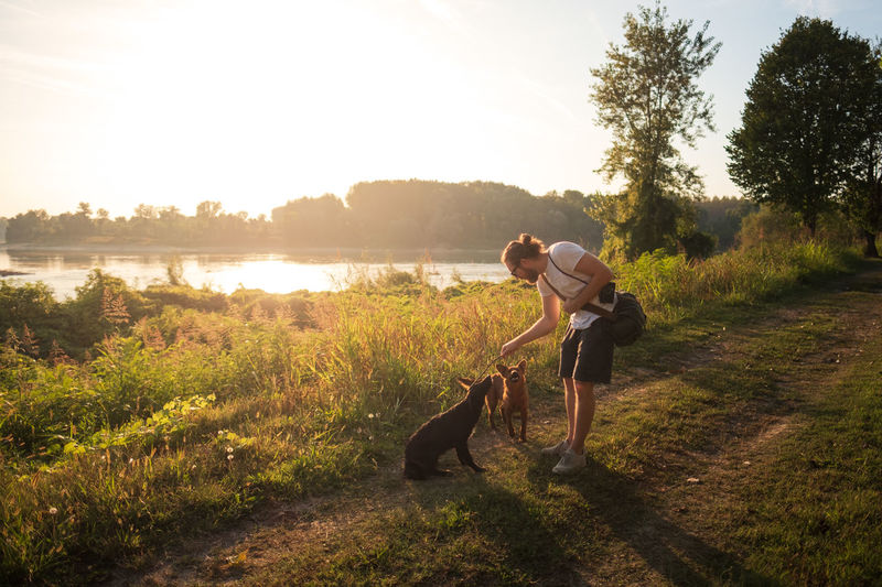 Man playing with dogs at lakeshore against sky during sunset