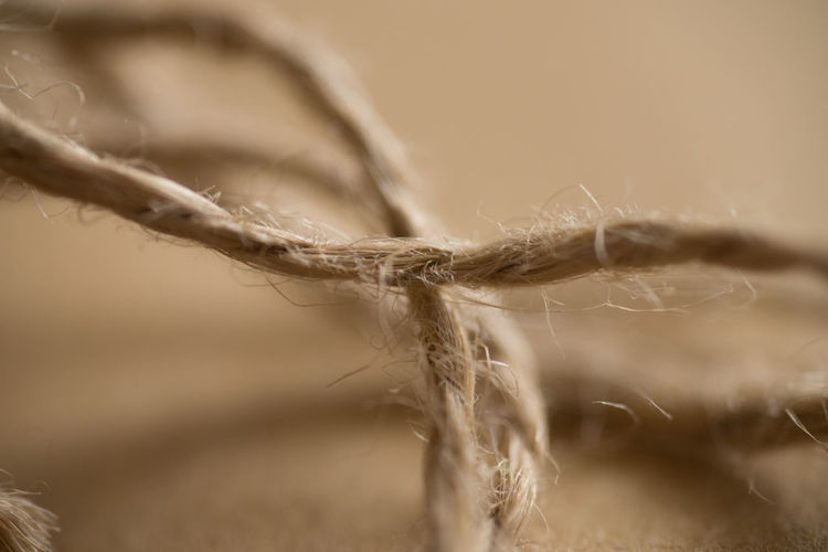 Close-up of rope tied on field