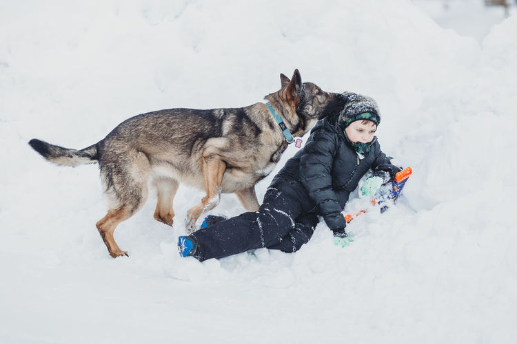 Full length of dog on snow during winter
