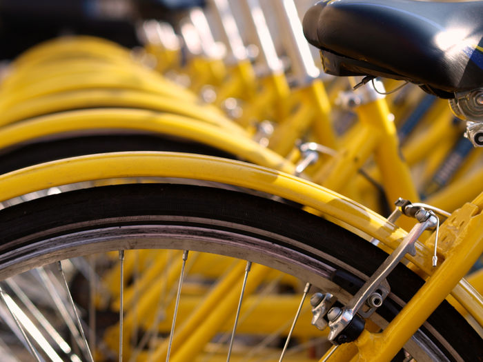 Close-up of bicycles parked in a row