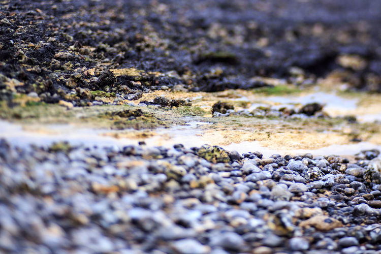 Close-up of rocks on shore