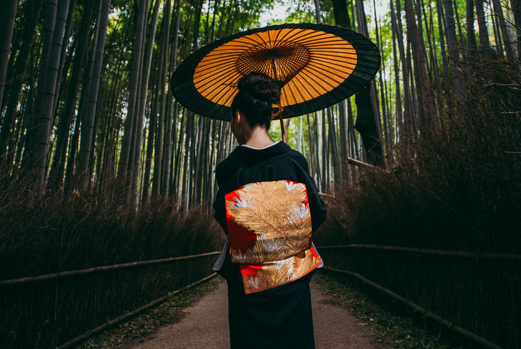Rear view of woman with umbrella walking in forest during rainy season