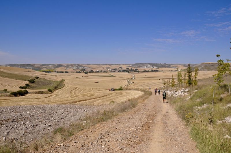 Rear view of hikers on dirt road by field against blue sky