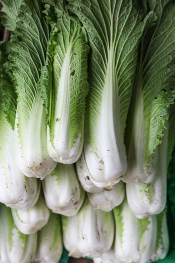 High angle view of stacked bok choy for sale at market