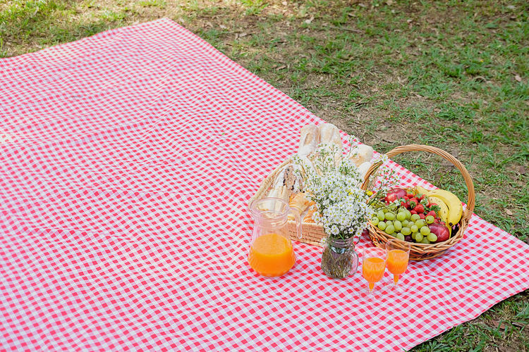 Food and juice on red picnic blanket over grass at park
