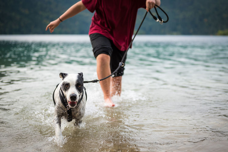 Running dog with his best friend in the eibsee