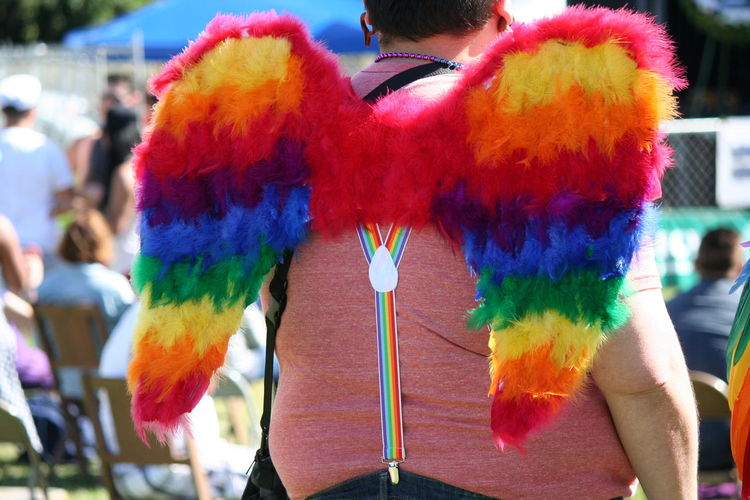 Rear view of man wearing multi colored angel wings during gay pride