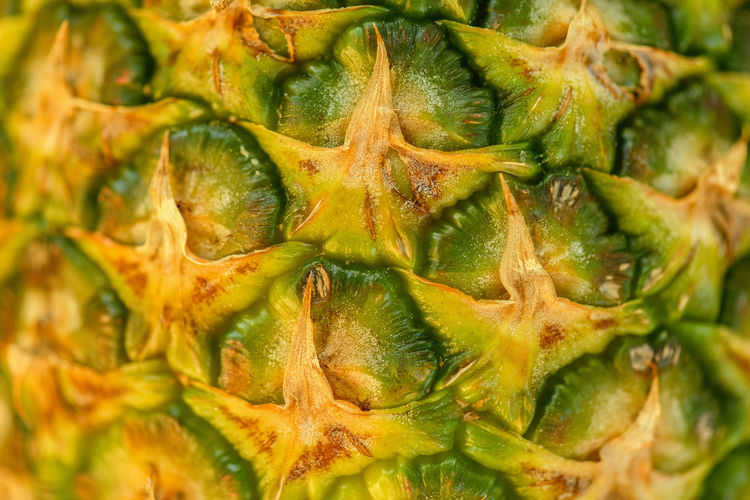 Beautiful fresh pineapple fruit close-up, natural texture