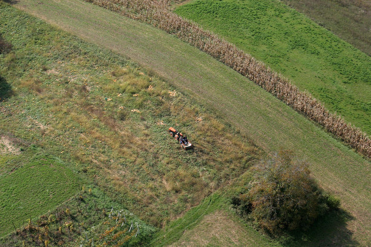Tractor working in a field in sisljavic croatia