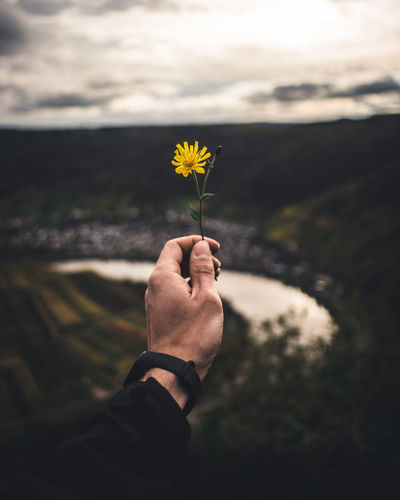 Cropped hand of man holding yellow flower against mountains