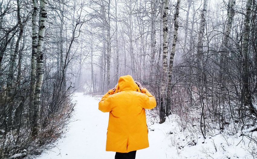 Rear view of woman standing in forest during winter