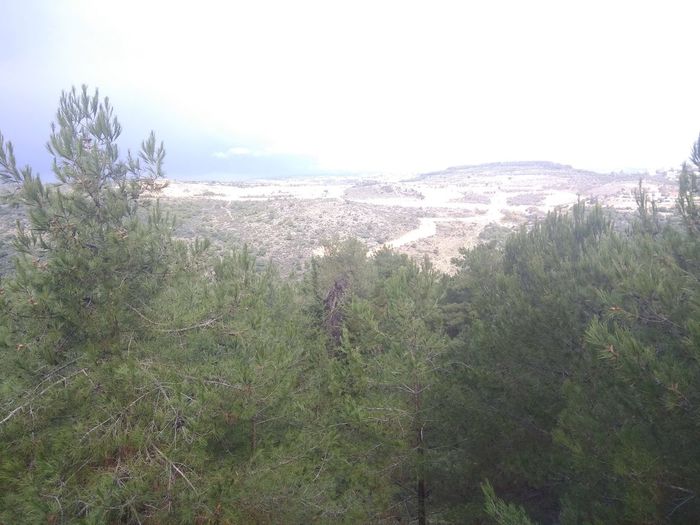 Scenic view of landscape against clear sky