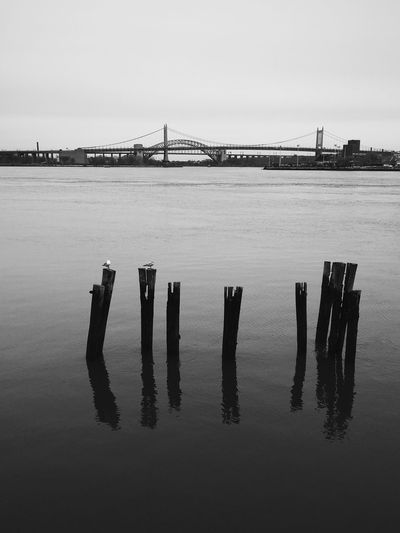 Wooden posts in east river against sky