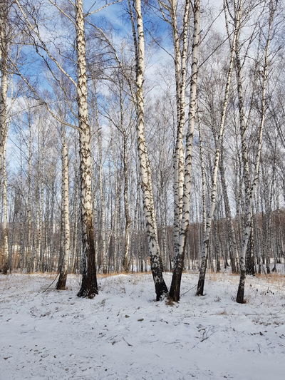 winter