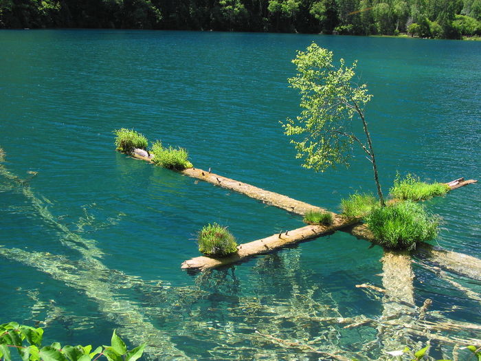 Scenic view of lake