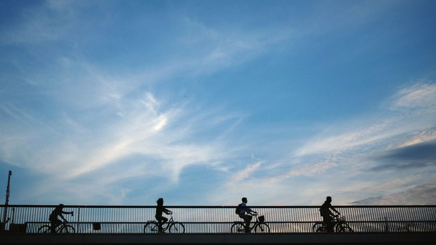Silhouette people riding bicycles on railing against sky