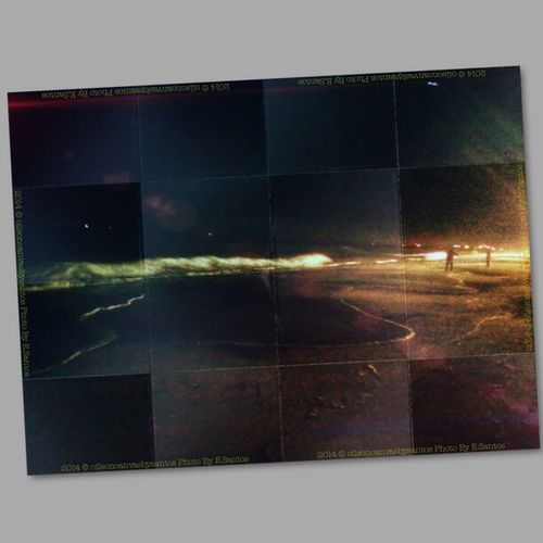 transfer print