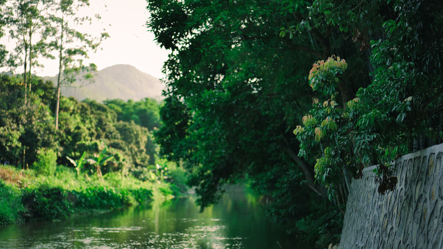 Scenic view of lake