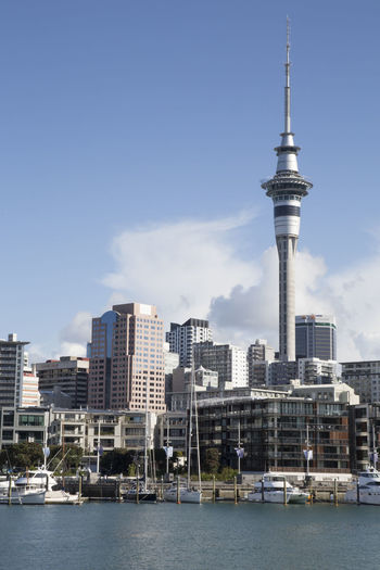 Sky tower and auckland's skyline viewed from marina during a sunny day