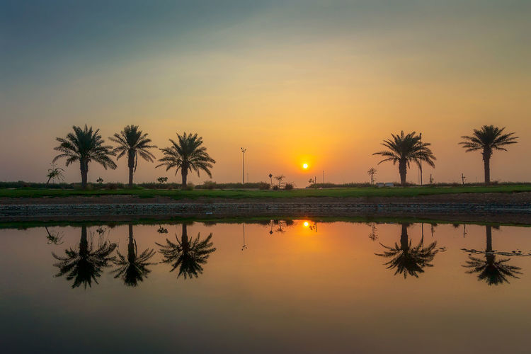 Palm trees by swimming pool against sky during sunset