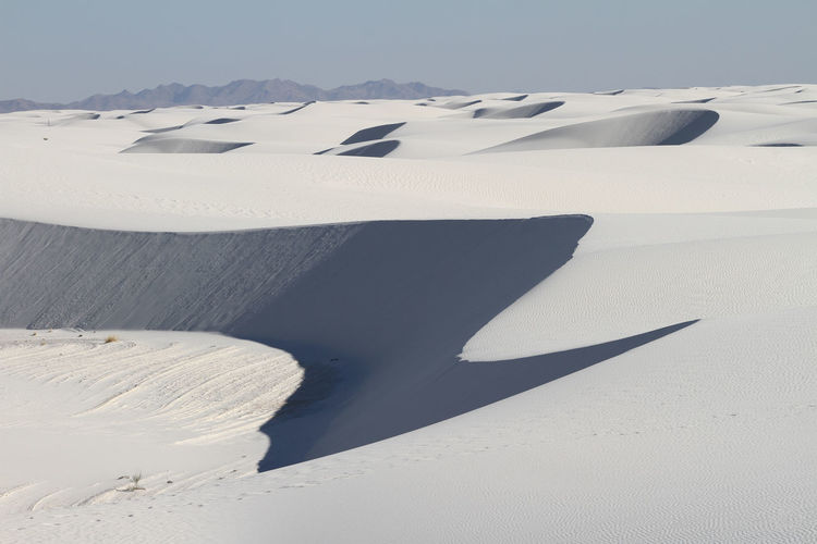 Gypsum sand dunes in white sands national park in late afternoon
