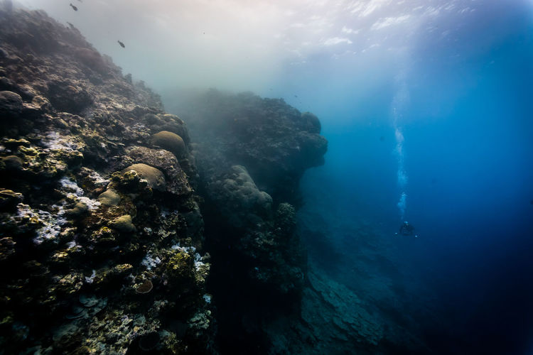 Man swimming in sea