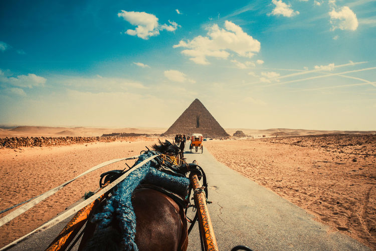View of horse on desert against cloudy sky