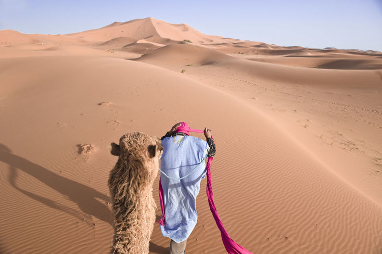 Scenic view of desert