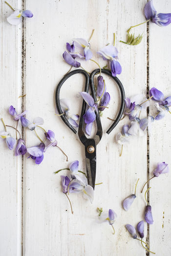Directly above shot of wisteria with scissors on table